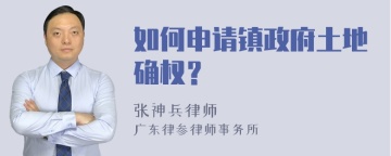 如何申请镇政府土地确权？