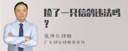 捡了一只信鸽违法吗？