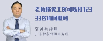 老板拖欠工资可以打12333咨询问题吗