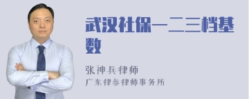 武汉社保一二三档基数