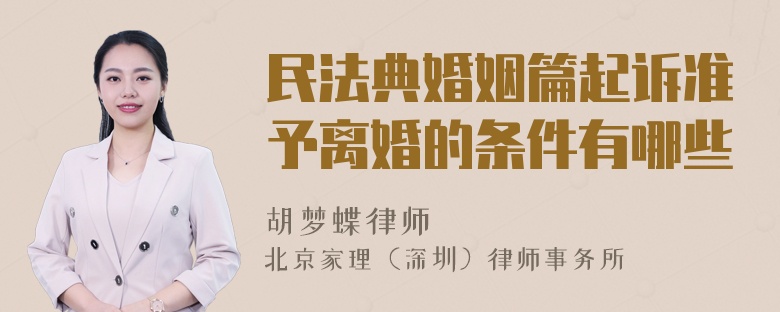 民法典婚姻篇起诉准予离婚的条件有哪些