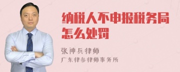 纳税人不申报税务局怎么处罚