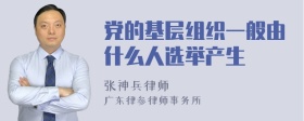 党的基层组织一般由什么人选举产生