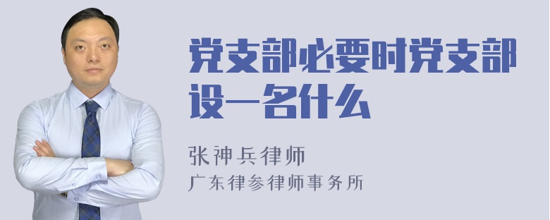 党支部必要时党支部设一名什么