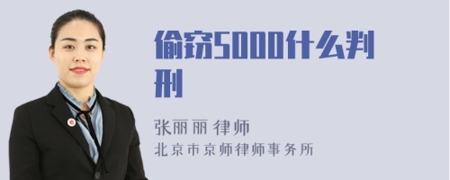 偷窃5000什么判刑