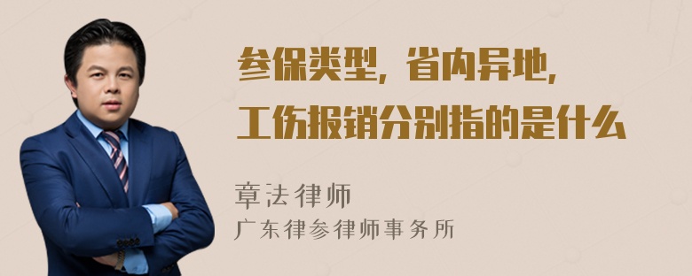 参保类型, 省内异地, 工伤报销分别指的是什么