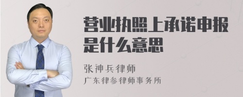 营业执照上承诺申报是什么意思