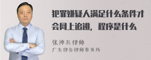 犯罪嫌疑人满足什么条件才会网上追逃，程序是什么