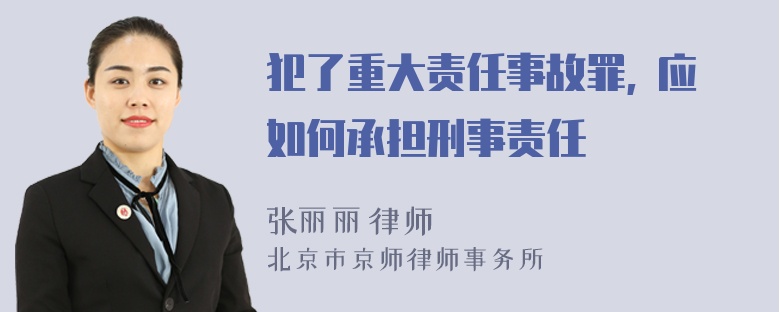 犯了重大责任事故罪, 应如何承担刑事责任