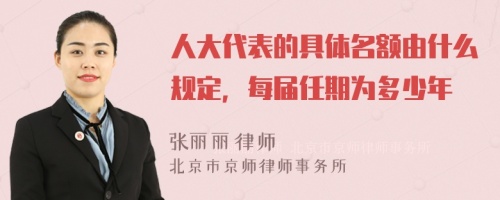 人大代表的具体名额由什么规定，每届任期为多少年