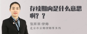 存续期内是什么意思啊? ?