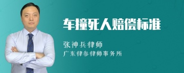 车撞死人赔偿标准