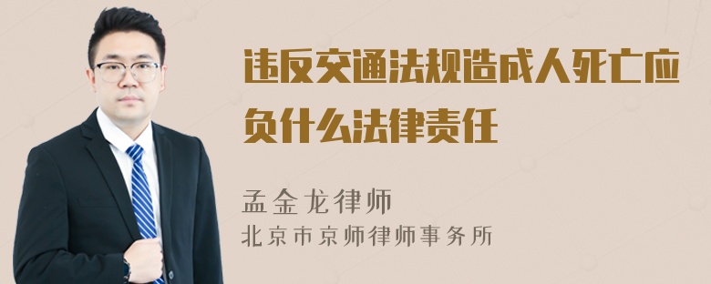 违反交通法规造成人死亡应负什么法律责任