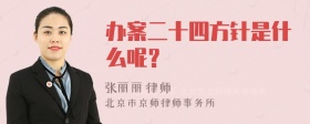 办案二十四方针是什么呢？