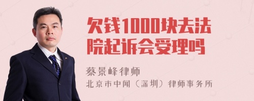 欠钱1000块去法院起诉会受理吗