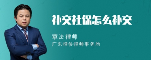 补交社保怎么补交