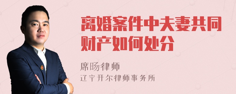 离婚案件中夫妻共同财产如何处分