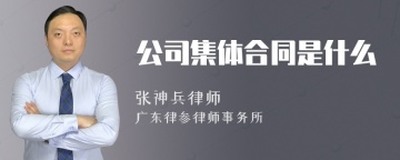 公司集体合同是什么