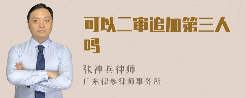 可以二审追加第三人吗