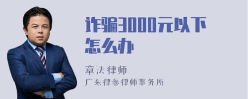 诈骗3000元以下怎么办