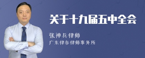 关于十九届五中全会