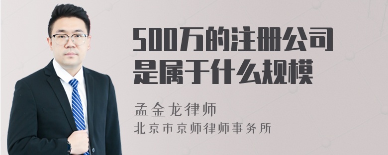 500万的注册公司是属于什么规模