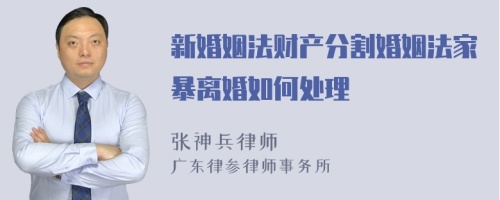 新婚姻法财产分割婚姻法家暴离婚如何处理