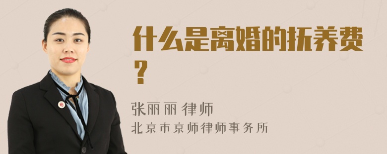 什么是离婚的抚养费？