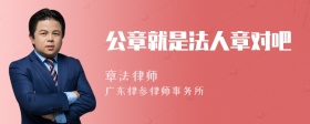 公章就是法人章对吧