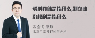 缓刑具体是指什么,剥夺政治权利是指什么