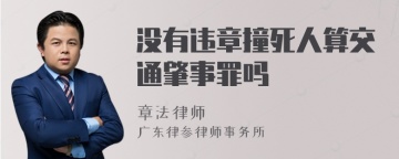 没有违章撞死人算交通肇事罪吗