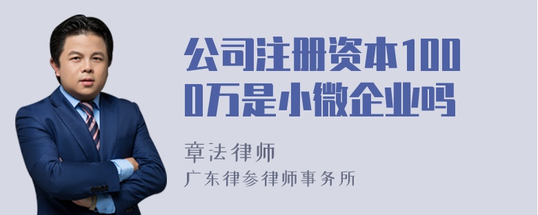 公司注册资本1000万是小微企业吗