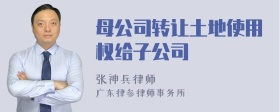 母公司转让土地使用权给子公司