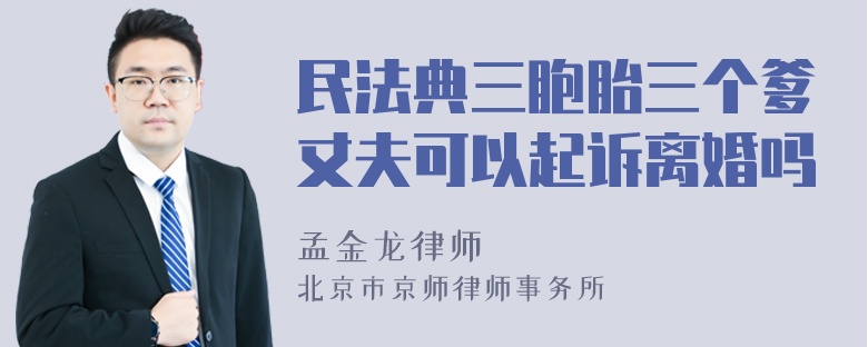 民法典三胞胎三个爹丈夫可以起诉离婚吗