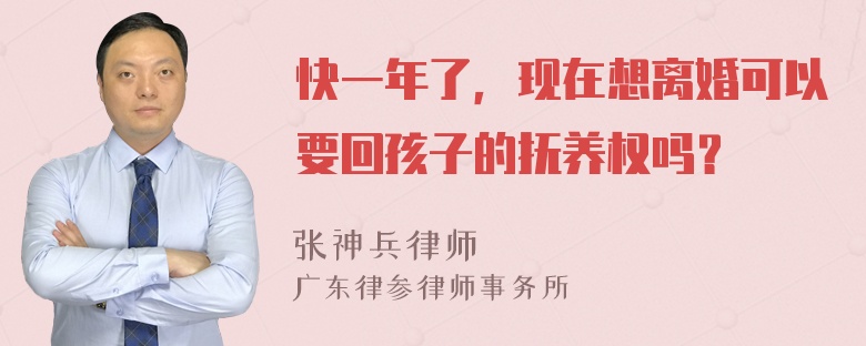 快一年了，现在想离婚可以要回孩子的抚养权吗？