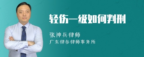 轻伤一级如何判刑