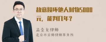 故意损坏他人财物5000元，能判几年？