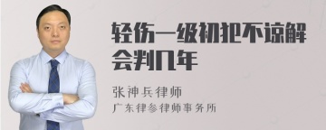 轻伤一级初犯不谅解会判几年