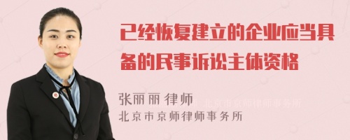 已经恢复建立的企业应当具备的民事诉讼主体资格