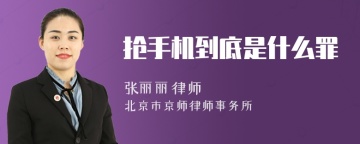 抢手机到底是什么罪