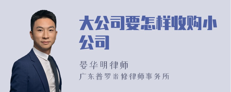 大公司要怎样收购小公司