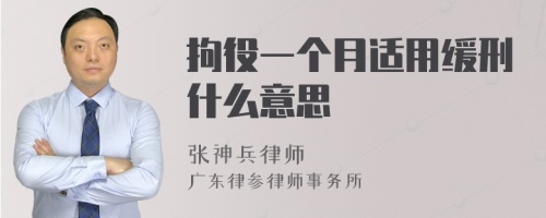 拘役一个月适用缓刑什么意思