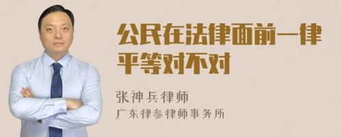 公民在法律面前一律平等对不对