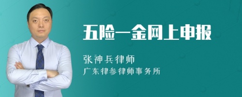 五险一金网上申报