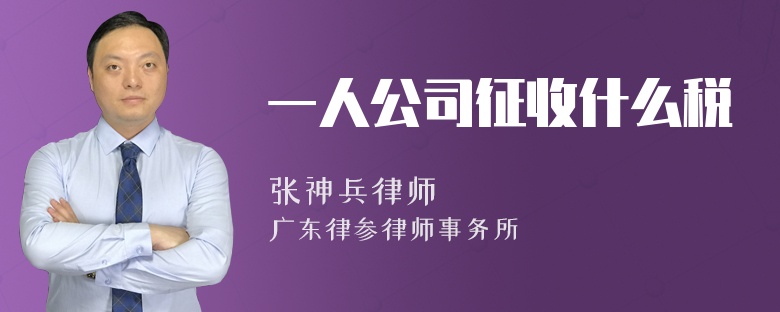 一人公司征收什么税