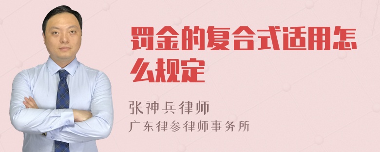 罚金的复合式适用怎么规定