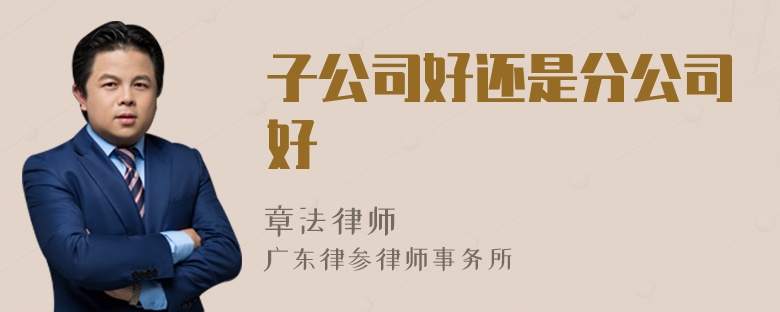 子公司好还是分公司好