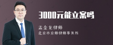 3000元能立案吗