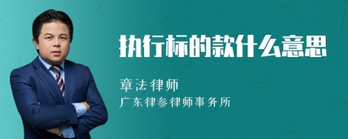 执行标的款什么意思