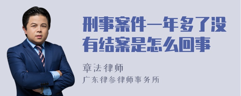 刑事案件一年多了没有结案是怎么回事